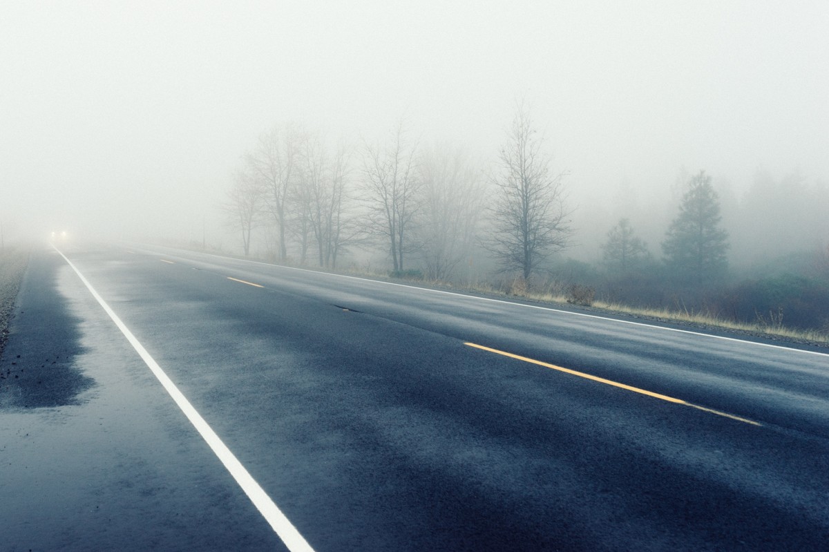 A wet, foggy road
