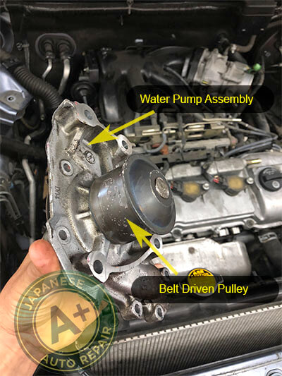 An employee of A+ Japanese Auto Repair in San Carlos, CA displaying the parts of the front side of a water pump